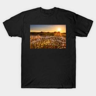 Cotton Grass on Cefn Bryn, Gower T-Shirt